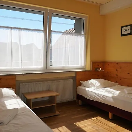 Pension-zur-rose Pensionat 3*